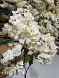 2 head CREAM panicle/cone Hydrangea Single Stem spray