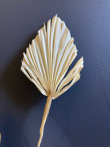 Dried Bleached Palm Spade (S)
