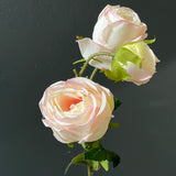 Single stem blush GEM rose spray