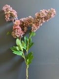 Single stem Hydrangea Lilac Purple Spray Single Stem