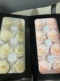 Preserved Rose Head Light Pink (box of 8)
