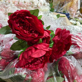 Red 5 Head Peony bunch