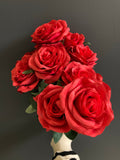 Bright Red Large Rose Bunch 10 head