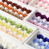 Preserved Rose Head Cream (box of 21)