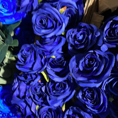 10 head Rose  dark Royal/ Navy Blue