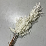 White Pampas Grass Artificial Flower single stem beige cream (L)