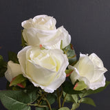 Cream Spray American Rose white