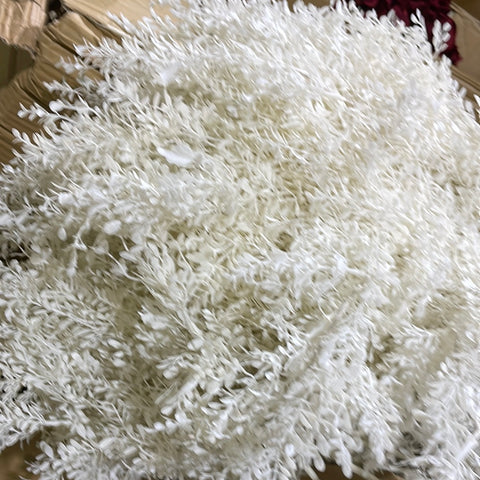 White/Cream rice leaf Filler Long Stem Greenery