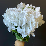White Hydrangea Bunch 7 head silk