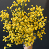 Yellow Baby’s breath Gypsophilia PVC artificial flower