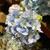 Blue Asian Hydrangea Spray Single Stem