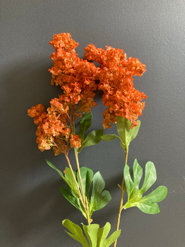 Single stem Hydrangea Orange Spray Single Stem