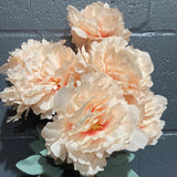 Blush pink 9 head PEONIES PEONY bunch coffee/ chocolate