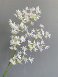 White oncidium orchid silk flower (White)