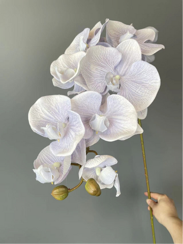 Lilac Large Phalaenopsis Orchid Artificial Flower (White) Silk wedding flower