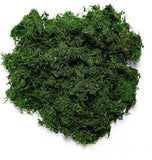 Preserved green Moss (sold in bag)