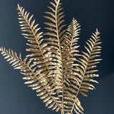Gold Fern leaf Filler Long Stem Greenery