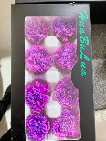 Preserved Carnation Purple (box of 8)