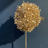 Gold pom for Wedding home decor
