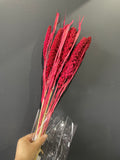 Preserved Wheat red