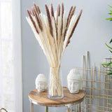 25” Cream/bleached white pack of 15 pampas grass stick (M)