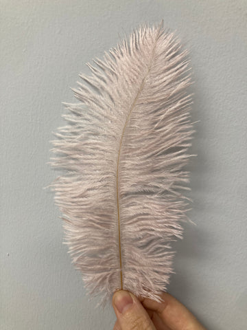 OSTRICH FEATHER PLUMES 6”-8"
