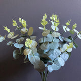 Eucalyptus leaf for Wedding home decor (Baby Blue) 1910270787