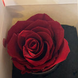 Preserved Red Rose in Tall Single black cardboard box  (box of 1)