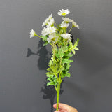New Cream chamomile FLOWER HEAD WEDDING DECOR SUN FLOWER family white