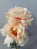 3 head PEONIES PEONY Spray Blush Pink