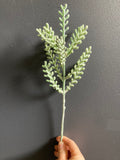 Green deer Antler pick leaf