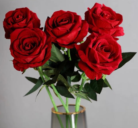 Flannelette velvety feel Red Single Stem Rose