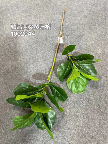 Fiddle leaf fig ficus greenery leaf