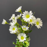New Cream chamomile FLOWER HEAD WEDDING DECOR SUN FLOWER family white