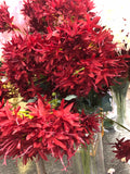 Red throatwort flower Artificial Filler Flower