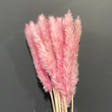 25” Dusty Pink pack of 15 pampas grass stick Dried