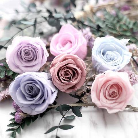 Preserved Rose Head Light Pink (box of 8)