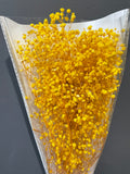 Preserved baby’s breath bunch Yellow