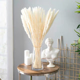 25” Cream/white pampas grass stick (M)