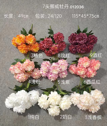 Norway 7 HEAD PEONIES PEONY BUNCH Orange