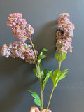 Single stem Hydrangea Lilac Purple Spray Single Stem