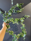 Variegated Green Artificial Flower Ivy leaf Garland wedding greenery 1.8m
