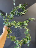 Variegated Green Artificial Flower Ivy leaf Garland wedding greenery 1.8m