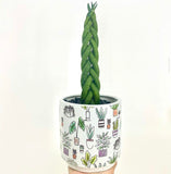 Ceramic pot Vase Plantiful Planter Garden Supply (L)