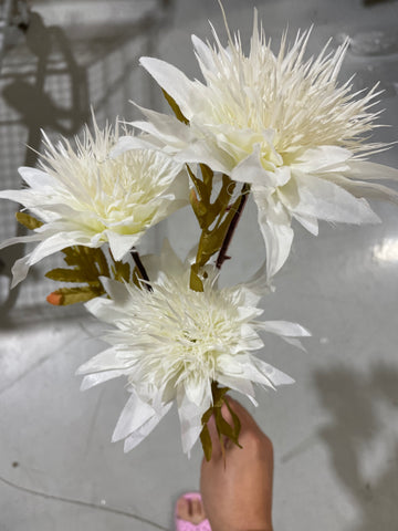 Single Stem Cream white Lotus