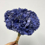 Carnation Navy Blue Bunch