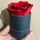 Preserved Red Rose in Tall Single black cardboard box  (box of 1)