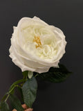 New Austin Moist TouchT Open Rose Ceam/white