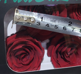 Preserved Rose Head baby Light Blue (box of 6)