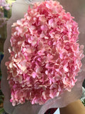 Single stem preserved Hydrangea pink